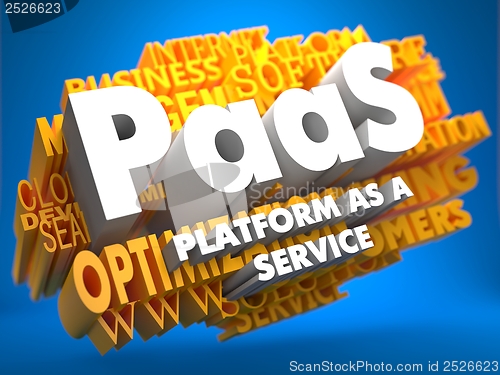 Image of PAAS. Wordcloud Concept.