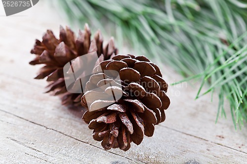 Image of christmas fir tree with pinecones