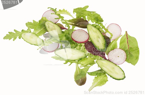 Image of cut cucumbers, garden radish and lettuce leaves