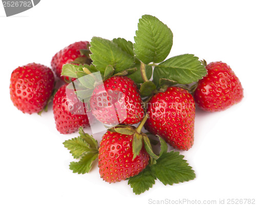 Image of Strawberries berry