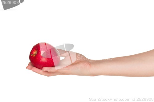 Image of Hand with apple