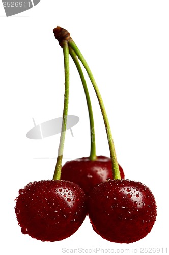 Image of Sweet cherries