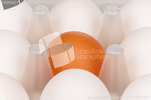 Image of Eggs in box