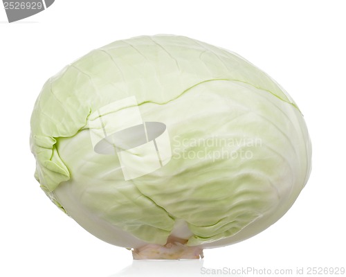 Image of Fresh cabbage