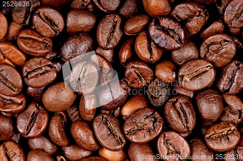 Image of Coffee beans