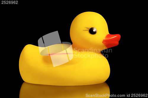 Image of Rubber duck