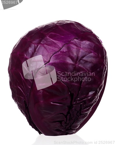 Image of Fresh cabbage