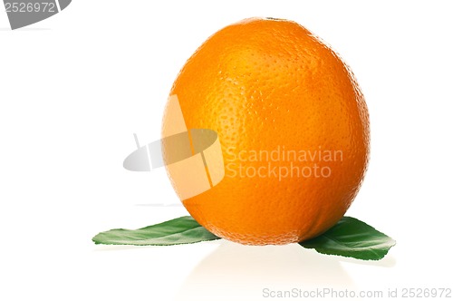 Image of Ripe orange