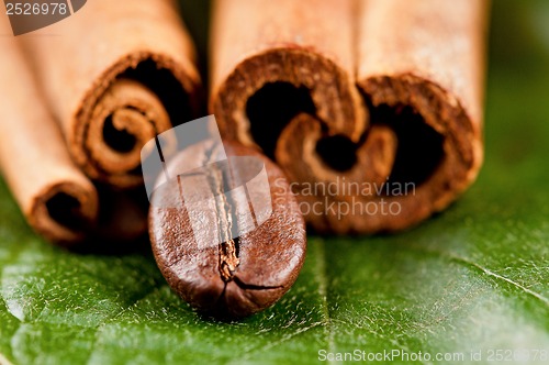 Image of Coffee beans