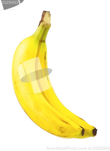 Image of Ripe bananas