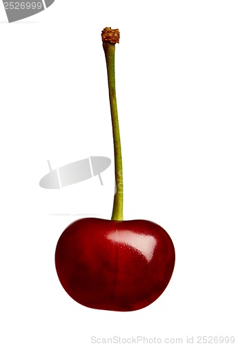 Image of Sweet cherries