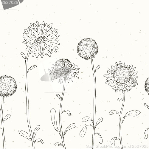 Image of Hand drawn Sunflower. Floral background.