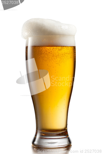 Image of Beer in glass isolated on white background