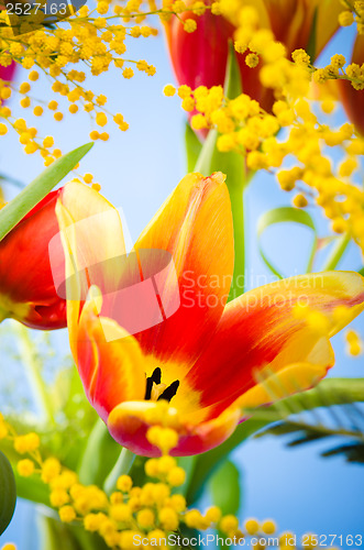 Image of Spring bouquet with a mimosa and tulips