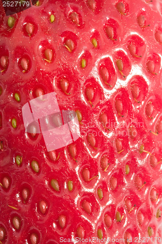 Image of Strawberry