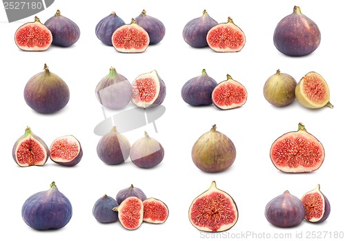 Image of Fig