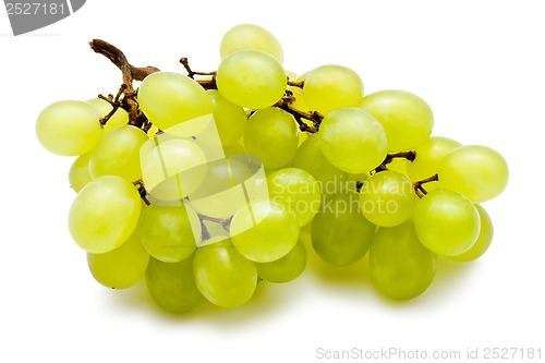 Image of Grapes