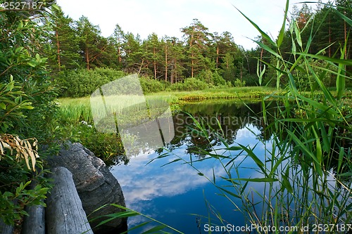 Image of Forest lake