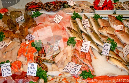 Image of Fish market