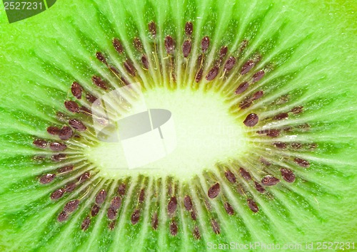 Image of Kiwi