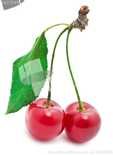 Image of Red cherry