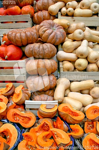 Image of Pumpkins