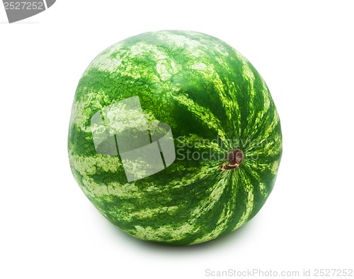 Image of Watermelon