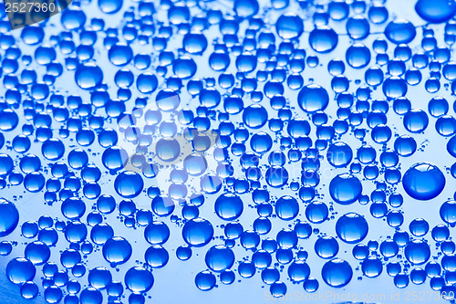 Image of Water drops