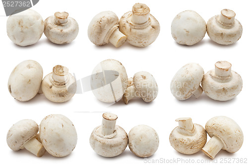 Image of Champignons