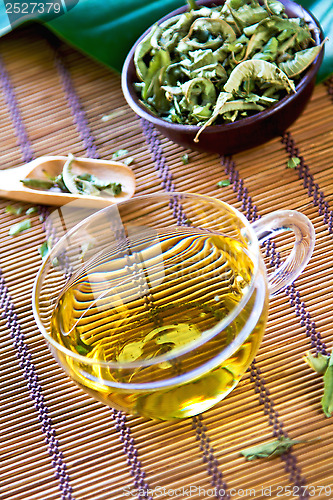 Image of Verveine Tea or Verbena Tea