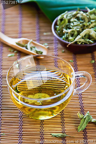 Image of Verveine Tea or Verbena Tea