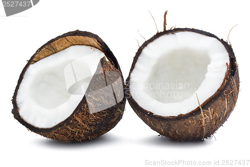 Image of Coconut