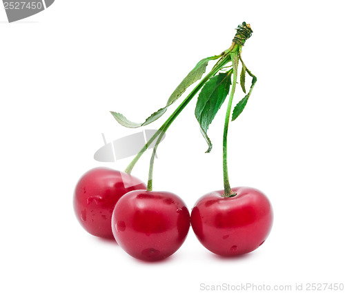 Image of Red cherry