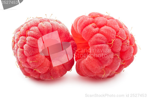 Image of Fresh raspberries