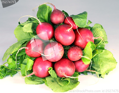 Image of radish