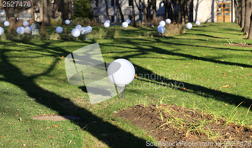 Image of Lights in the park