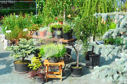 Image of Landscaping