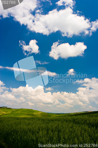 Image of Green Landscape