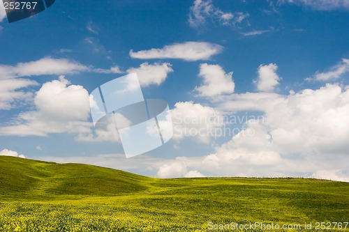 Image of Flowered Landscape