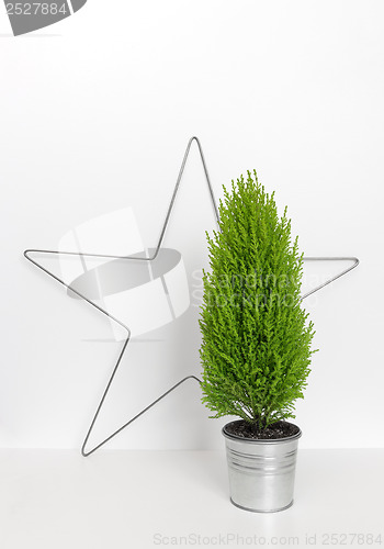 Image of Christmas star and little green tree