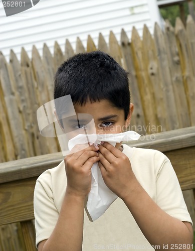 Image of Allergy