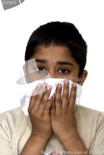 Image of Allergy