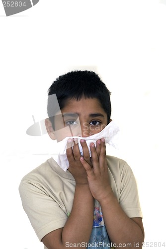 Image of Allergy