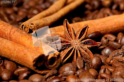 Image of Coffee beans