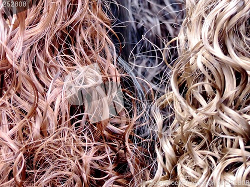 Image of Hair