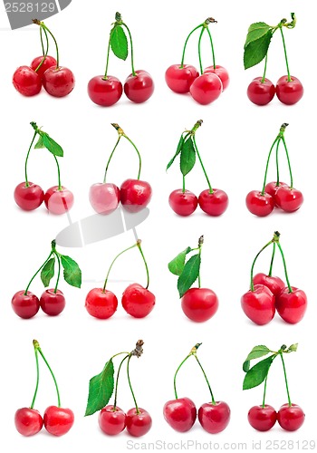 Image of Cherry