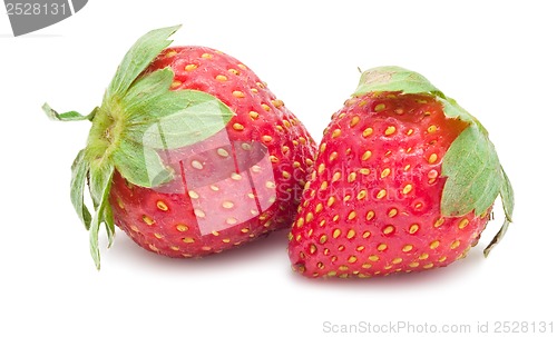 Image of Strawberry