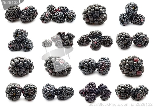 Image of Blackberry