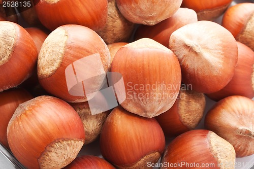 Image of Hazelnuts or filbert