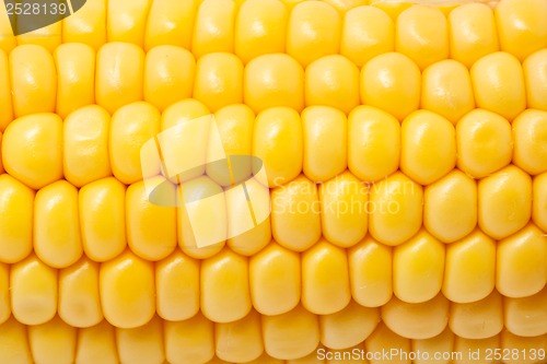 Image of Corn